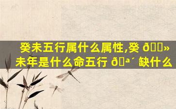 癸未五行属什么属性,癸 🌻 未年是什么命五行 🪴 缺什么